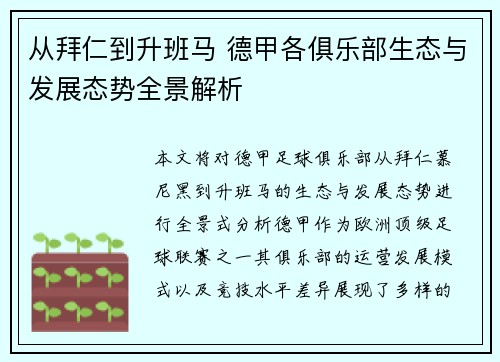 从拜仁到升班马 德甲各俱乐部生态与发展态势全景解析
