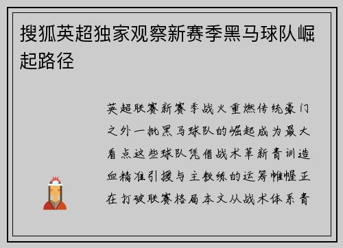 搜狐英超独家观察新赛季黑马球队崛起路径